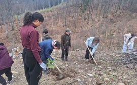 Ce fac șincaiștii sâmbăta? Preferă să fie ecologiști