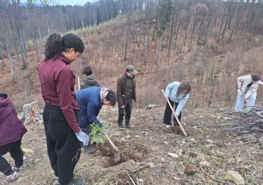 Ce fac șincaiștii sâmbăta? Preferă să fie ecologiști