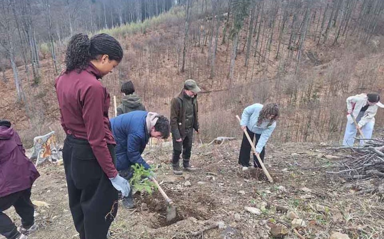 Ce fac șincaiștii sâmbăta? Preferă să fie ecologiști