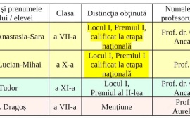 Șincaiștii calificați la Olimpiada Națională de lingvistică