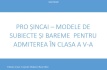 PRO ȘINCAI 2026 – Teste pentru admiterea în clasa a V-a la Limba Română